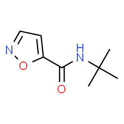 5-Isoxazolecarboxamide,N-(1,1-dimethylethyl)-(9CI) structure