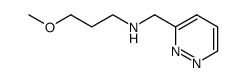 3-methoxy-N-(pyridazin-3-ylmethyl)propan-1-amine结构式