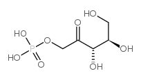 xylulose-1-phosphate Structure