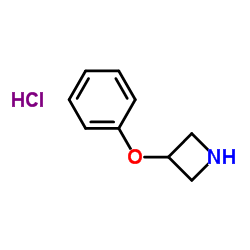 3-Phenoxy-azetidine hydrochloride picture