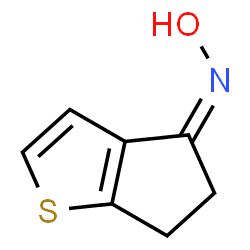 4H-Cyclopenta[b]thiophen-4-one,5,6-dihydro-,oxime(9CI)结构式