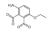 4-ethoxy-2,3-dinitro-aniline结构式