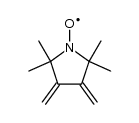 3,4-Bis(methylene)-2,2,5,5-tetramethylpyrrolidin-1-yloxyl radical结构式