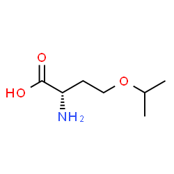 L-Homoserine, O-(1-methylethyl)- (9CI) Structure