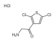 2-amino-1-(2,5-dichlorothiophen-3-yl)ethanone,hydrochloride Structure