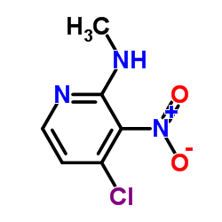 (4-Chloro-3-nitro-pyridin-2-yl)-methyl-amine picture