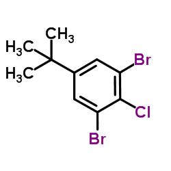 4-Chloro-3,5-dibromo-tert-butylbenzene structure