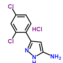 3-(2,4-Dichlorophenyl)-1H-pyrazol-5-amine hydrochloride (1:1) Structure