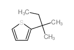 Thiophene,2-(1,1-dimethylpropyl)- Structure
