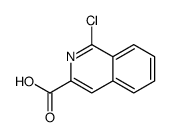 1-chloroisoquinoline-3-carboxylic acid picture