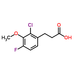 3-(2-Chloro-4-fluoro-3-methoxyphenyl)propanoic acid Structure