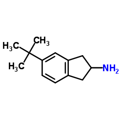 5-tert-Butylindan-2-amine结构式
