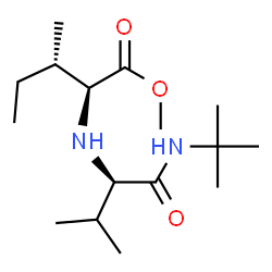 L-Isoleucine, N-[1-[[(1,1-dimethylethyl)amino]carbonyl]-2-methylpropyl]-, methyl ester, (R)- (9CI)结构式