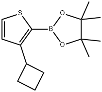 3-Cyclobutylthiophene-2-boronic acid pinacol ester结构式