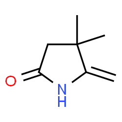 4,4-Dimethyl-5-methylene-2-pyrrolidinone结构式