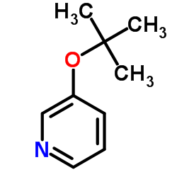 3-tert-Butoxypyridine structure