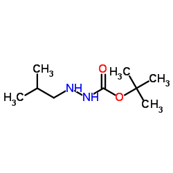 tert-butyl N-(2-methylpropylamino)carbamate结构式