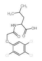 (2S)-4-methyl-2-[[2-(2,4,5-trichlorophenoxy)acetyl]amino]pentanoic acid Structure