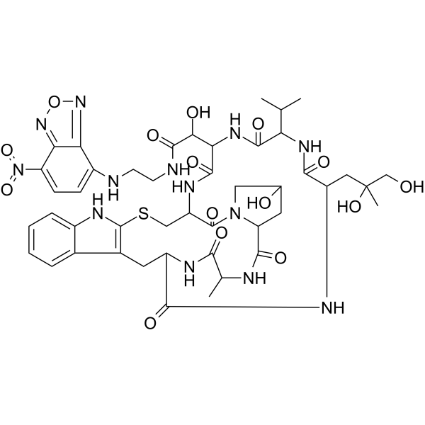 N-(7-Nitrobenzofurazan-4-yl)phallacidin Structure