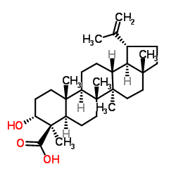 Lupeolic acid图片