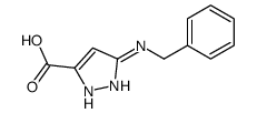 3-(benzylamino)-1H-pyrazole-5-carboxylic acid结构式