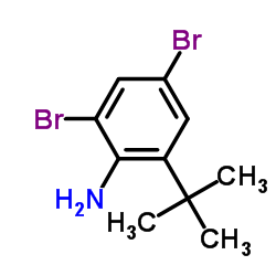 2,4-Dibromo-6-(2-methyl-2-propanyl)aniline Structure