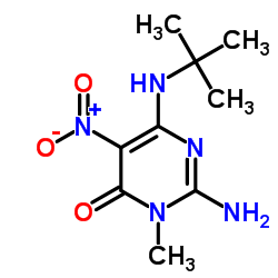 2-Amino-6-(tert-butylamino)-3-methyl-5-nitropyrimidin-4(3H)-one Structure