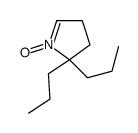 5,5-dipropyl-1-pyrroline 1-oxide picture