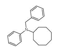 N-benzyl-N-phenyl-cyclooctanamine结构式