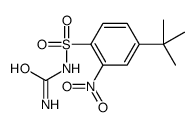 (4-tert-butyl-2-nitrophenyl)sulfonylurea结构式