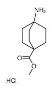methyl 4-aminobicyclo[2.2.2]octane-1-carboxylate hydrochloride picture