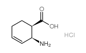 顺式-2-氨基-环己-3-烯羧酸盐酸盐图片