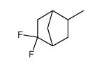 Bicyclo[2.2.1]heptane, 2,2-difluoro-5-methyl- (9CI) picture