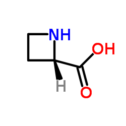 L-Azetidine-2-carboxylic acid structure