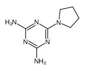 6-pyrrolidin-1-yl-[1,3,5]triazine-2,4-diamine结构式