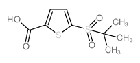 5-(2-Methyl-propane-2-sulfonyl)-thiophene-2-carboxylic acid Structure