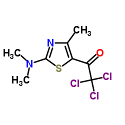 2,2,2-Trichloro-1-[2-(dimethylamino)-4-methyl-1,3-thiazol-5-yl]ethanone Structure