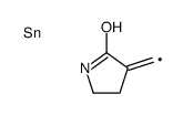 3-(stannylmethylidene)pyrrolidin-2-one Structure
