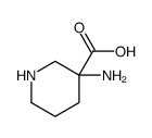 3-aminopiperidine-3-carboxylic acid结构式