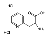 (2R)-2-amino-3-pyridin-2-ylpropanoic acid,dihydrochloride Structure