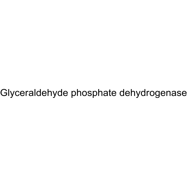 Glyceraldehyde phosphate dehydrogenase Structure