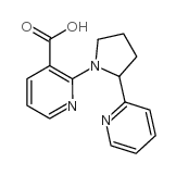 2-(2-pyridin-2-ylpyrrolidin-1-yl)pyridine-3-carboxylic acid Structure