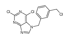 2,6-dichloro-7-[[3-(chloromethyl)phenyl]methyl]purine结构式