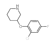 3-(2-Chloro-4-fluorophenoxy)piperidine结构式