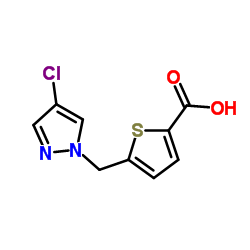 5-[(4-CHLORO-1H-PYRAZOL-1-YL)METHYL]THIOPHENE-2-CARBOXYLIC ACID picture