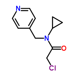 2-Chloro-N-cyclopropyl-N-(4-pyridinylmethyl)acetamide结构式