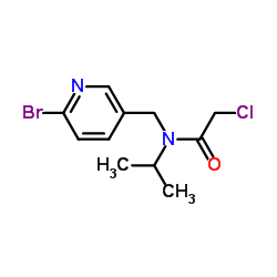 N-[(6-Bromo-3-pyridinyl)methyl]-2-chloro-N-isopropylacetamide Structure