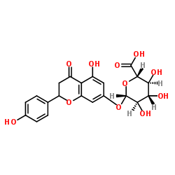 Naringenin-7-O-glucuronide structure