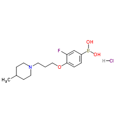 (3-fluoro-4-(3-(4-Methylpiperidin-1-yl)propoxy)phenyl)boronic acid hydrochloride structure