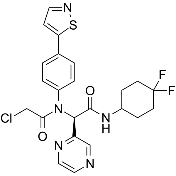 INSCoV-601I(1) structure